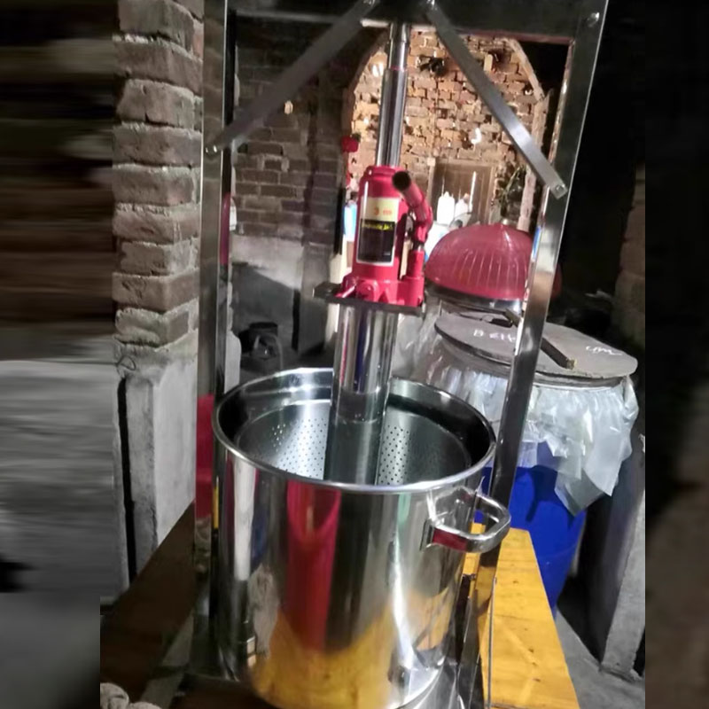Cold Press Juicer - Fruit Juice Cold Press Juicing Machine