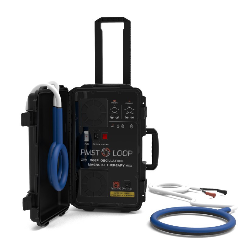 PMST LOOP PEMF Therapy Horse E - Therapy Health And Wellness recension och pris