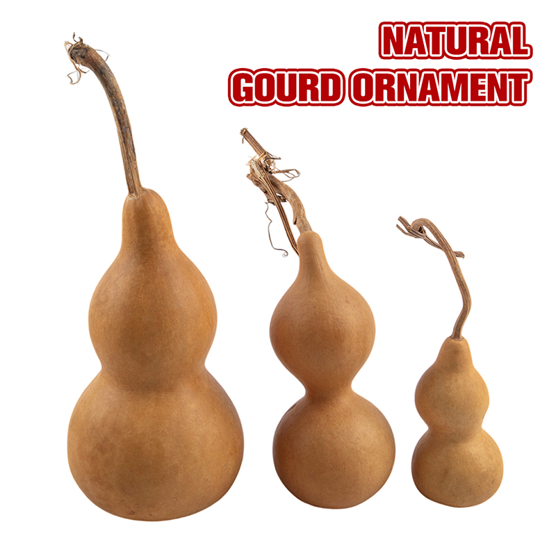 1pc Natural Gourd Handicraft O - Longevity Health & Wellness Hotel Adults Only recension och pris