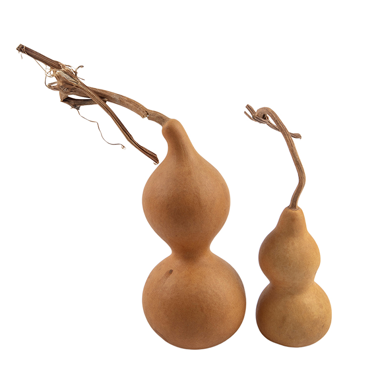 1pc Natural Gourd Handicraft O - Longevity Health & Wellness Hotel Adults Only recension och pris