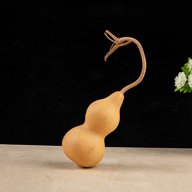 1pc Natural Gourd Handicraft O - Longevity Health & Wellness Hotel Adults Only recension och pris