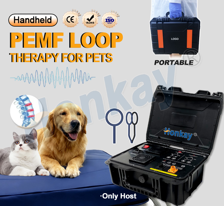 Personal Pet Care PEMF Device  - Therapy Health And Wellness recension och pris