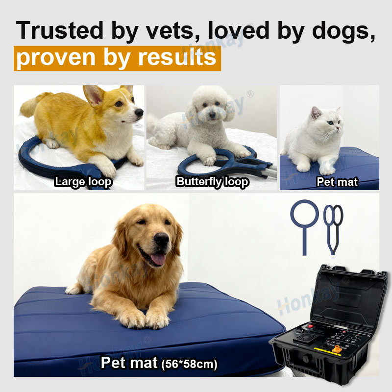 Personal Pet Care PEMF Device  - Therapy Health And Wellness recension och pris