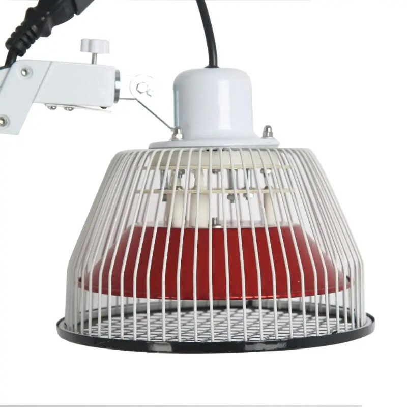 Traditional Chinese TDP Lamps  - Therapy Health And Wellness recension och pris
