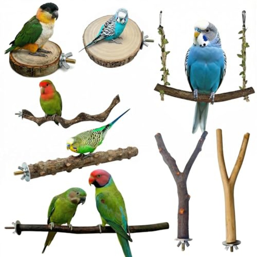 8PCS natural wood bird perches - Health & Wellness Juice & Smoothie Bar recension och pris