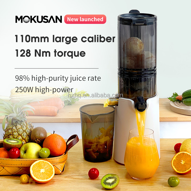 Hot Sale Big Mouth Cold Press  - Cold Press Juicer recension och pris